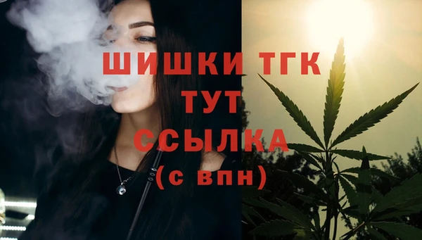 шишки Алзамай