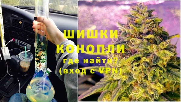 шишки Алзамай