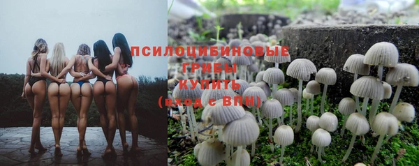 соль ск Алексеевка