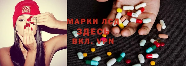 шишки Алзамай